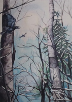Birch Valley