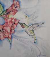 Hummingbird