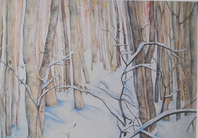Winter Glade