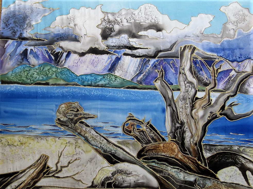 Driftwood on Miracle by Dianne Nelson